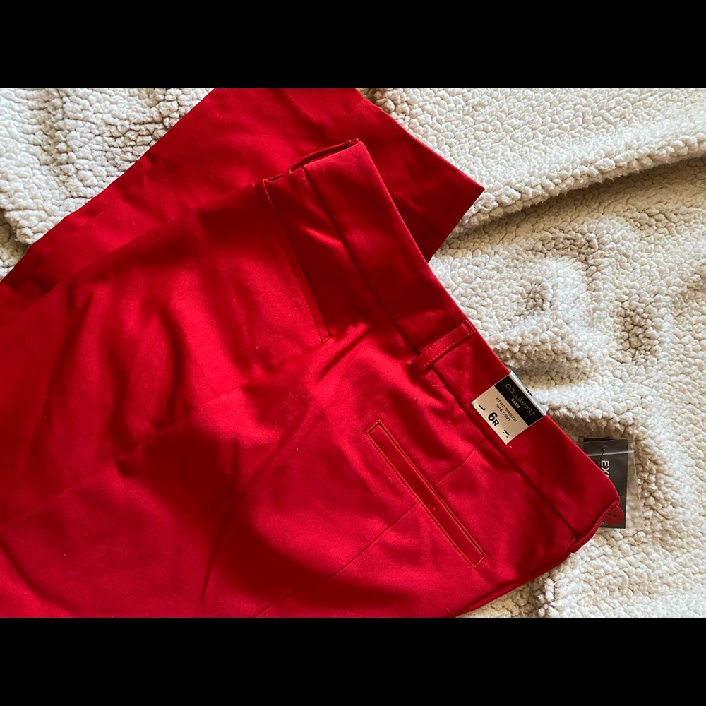 NWT Express Columnist Pants